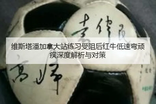 维斯塔潘加拿大站练习受阻后红牛低速弯顽疾深度解析与对策